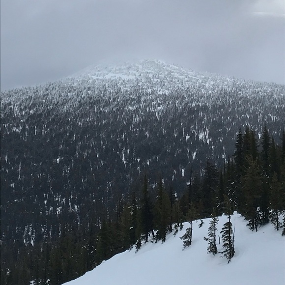 Meet your Posher, Kelly - Picture 5 of 6